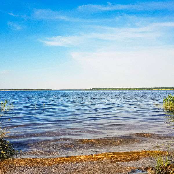 Leipziger Neuseenland Zwenkauer See Ufer