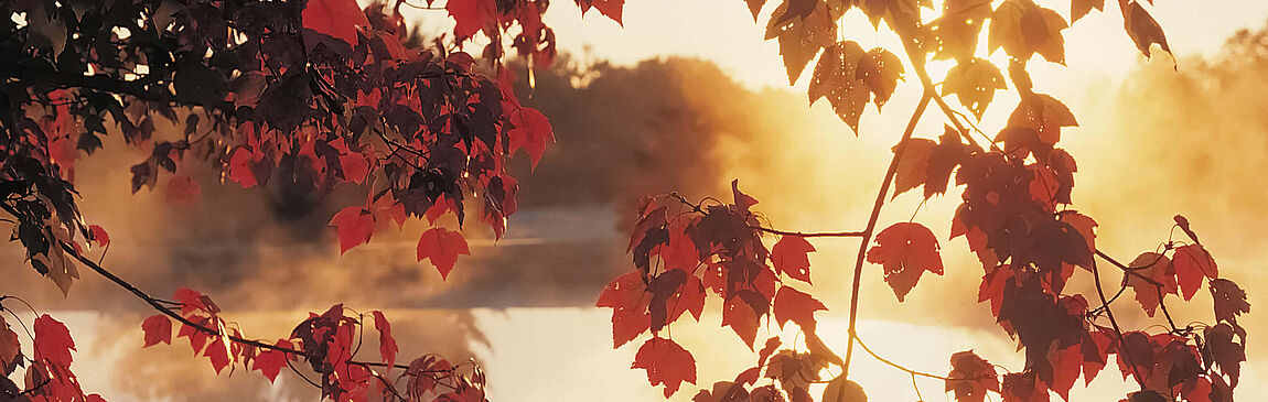 Herbst Urlaub Ferienwohnung Leipziger Neuseenland