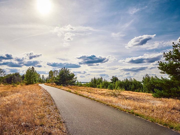Geteerter Weg durchgelbe Wiesen und große Büsche, zwischen den Sträuchern erkennt man in einer Lücke den Seelhausener See.