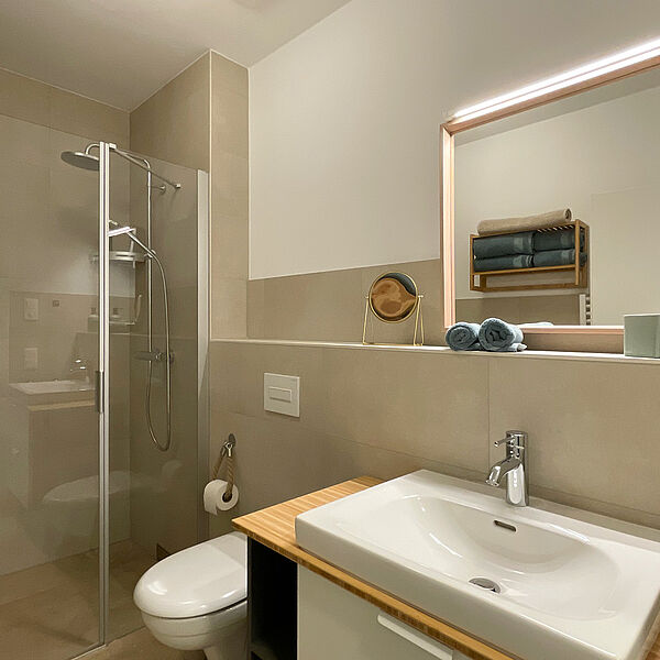 Bad mit ebenerdiger Glas-Dusche, Toilette, Spiegel und Wasch-Becken.