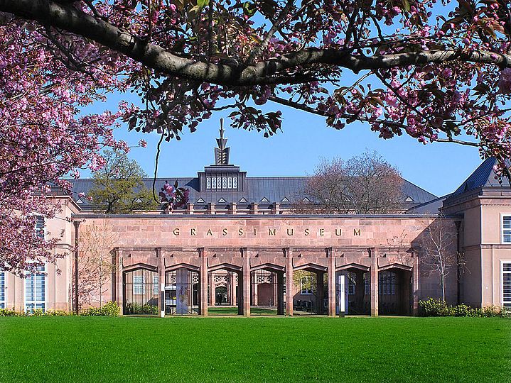 Kirschblüten, im Hintergrund ein Museumsgebäude