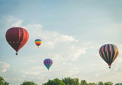 aaron-jones-yzxRFDULFRc-unsplash_bearb.jpg