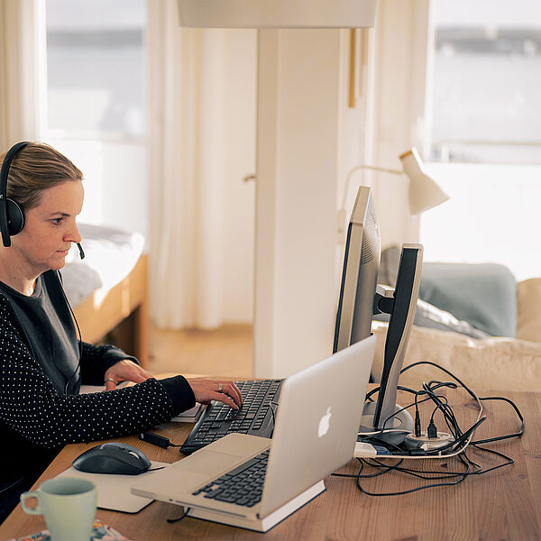 Homeoffice Ferienwohnung Hainer See Arbeitsbereich