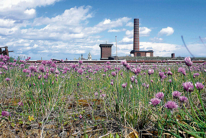 Industriekultur Baumwollspinnerei Leipzig