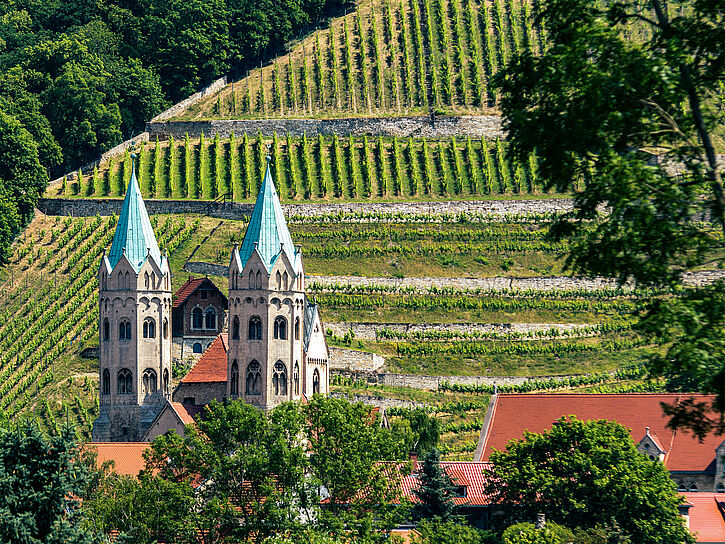 Kirche St. Marien vor Weinbergen in Freyburg.