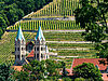 Kirche St. Marien vor Weinbergen in Freyburg.