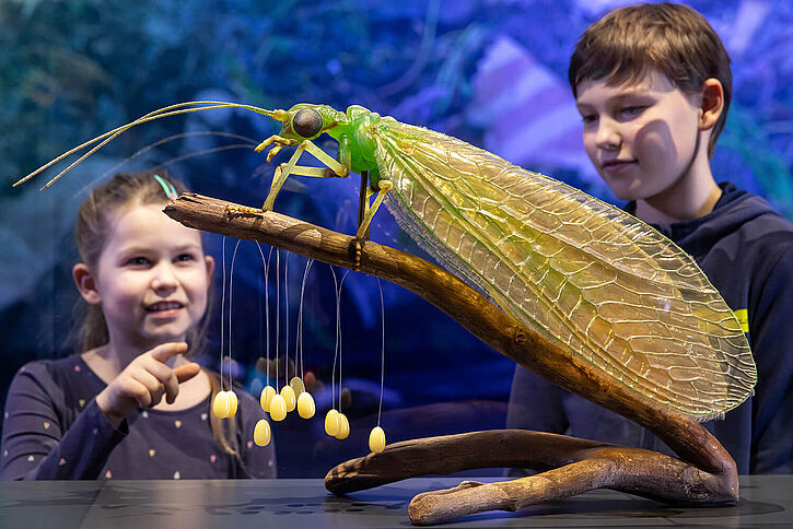 Modell Florfliege im Panometer Leipzig