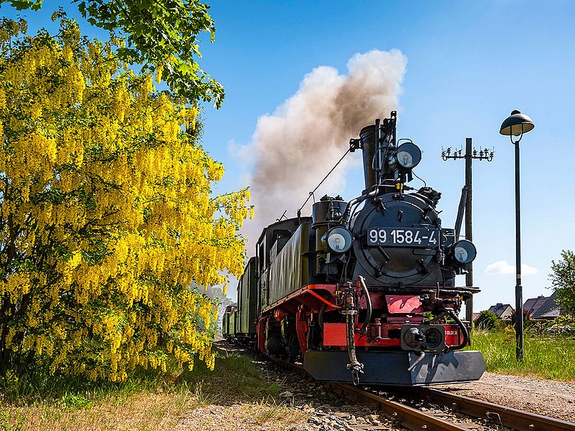 Döllnitzbahn