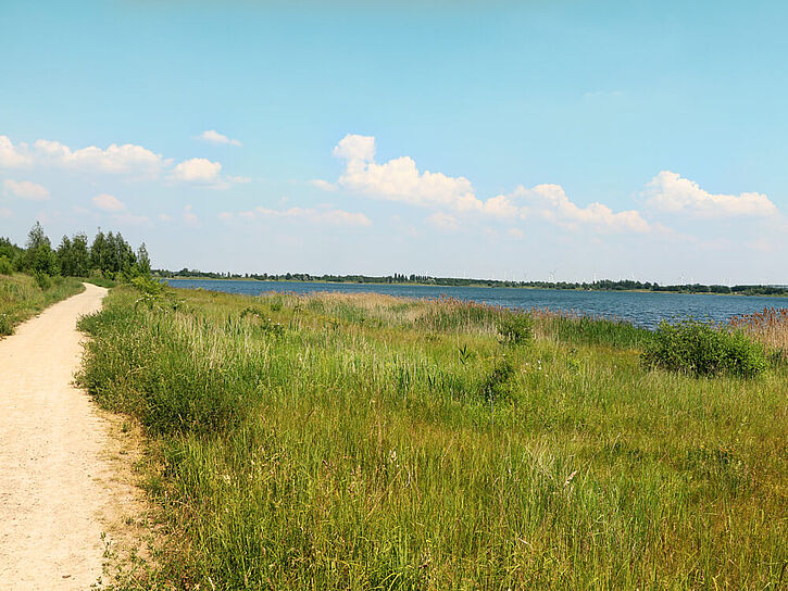 Fahrrad fahren Leipziger Neuseenland