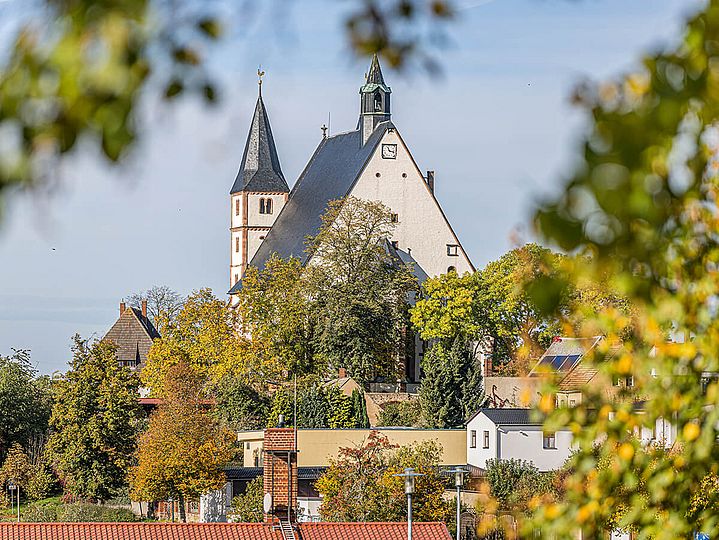 Kirche ragt aus Baumkronen auf