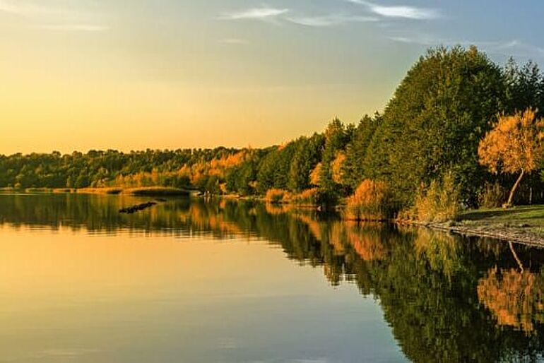 Herbstliches Ufer an einem See.