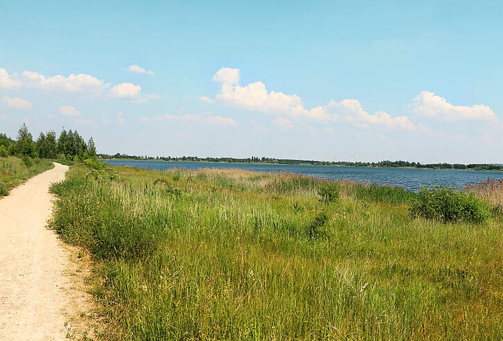 Fahrradweg am Hainer See entlang mit grüner Wiese.