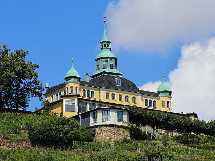 Weingut in Radebeul.