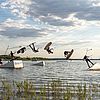 PErson auf einem Wakeboard fährt eine Rampe im Wasser hoch und macht einen Salto.