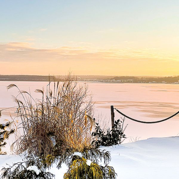 Verschneiter Garten vor dem vereisten Hainer See, © Birgitt Schlauderer