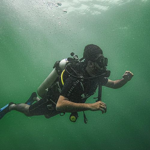 KURZ MAL ABTAUCHEN IM LEIPZIGER NEUSEENLAND 🤿 Klares Wasser. Versunkene Wracks. Süßwasserquallen. 🪼 Die Seen rund um...