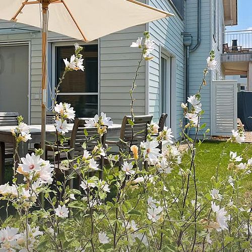OSTERN AM SEE Wie wär’s mit einer Osterwanderung im Leipziger Neuseenland? Frische Luft, blühende Natur und Ruhe am...