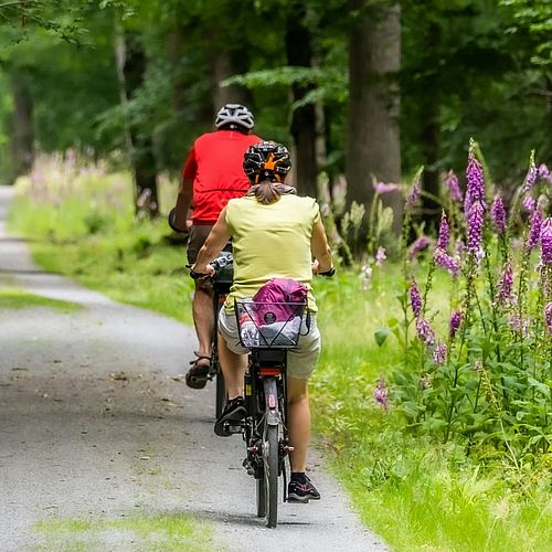 SACHSENS SCHÖNSTE SEITEN Nicht weit vom Leipziger Neuseenland entfernt verläuft einer der schönsten Radwege Sachsens:...