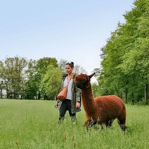 Habt ihr das schon probiert? 😊 Gemütlich durch die Natur spazieren, Seite an Seite mit ... einem Alpaka? 🦙 Richtig...