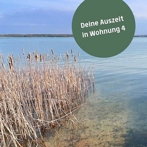 EINFACH MAL ABSCHALTEN Nur du, ein warmes Sofa und der Blick über den ruhigen Hainer See. Dein Urlaub in Wohnung 4 vom...