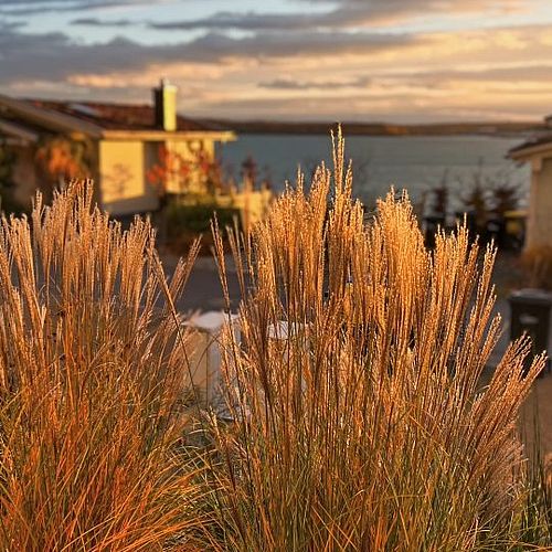 EIN ORT ZUM AUFLADEN ☀️ Balkon oder Terrasse mit Südausrichtung 🌊 Fantastischer Blick auf den See ⭐ Modern und stilvoll...