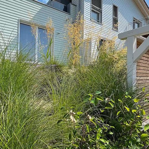 Ein Jahr mit dem HAUS IM SCHILF: ☀️ ca. 1800 Sonnenstunden 🌊 10 Wohnungen mit Blick auf den Hainer See 🌾 100 %...
